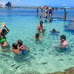 Flat N3 Porto De Galinhas C Piscina